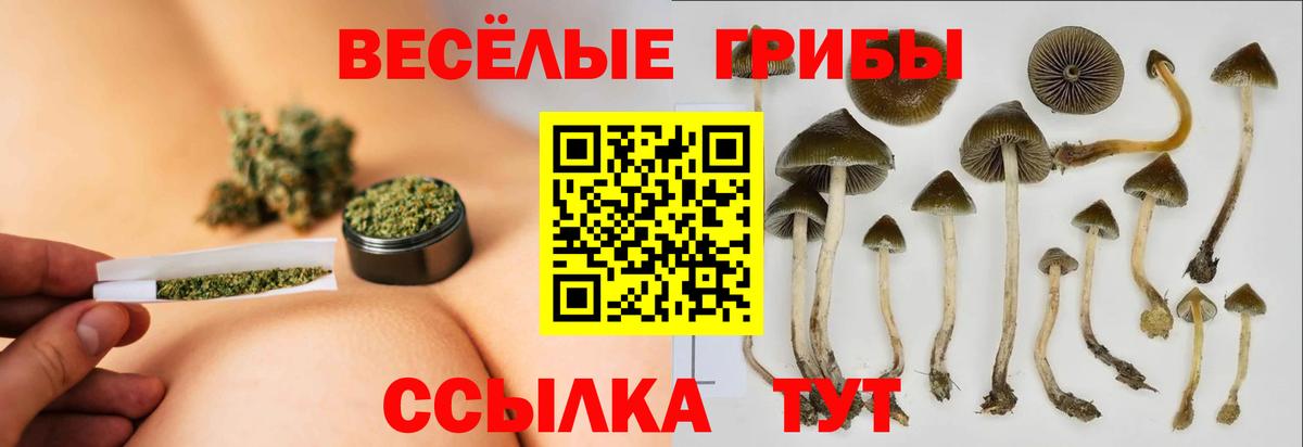 Галлюциногенные грибы Psilocybe  Галлюциногенные грибы мухоморы  Вход с VPN  Новоалтайск 